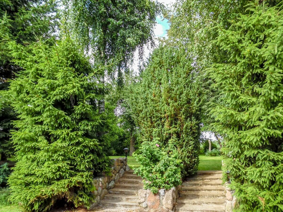 Дома для отпуска Holiday Home Paula Bagienice-42